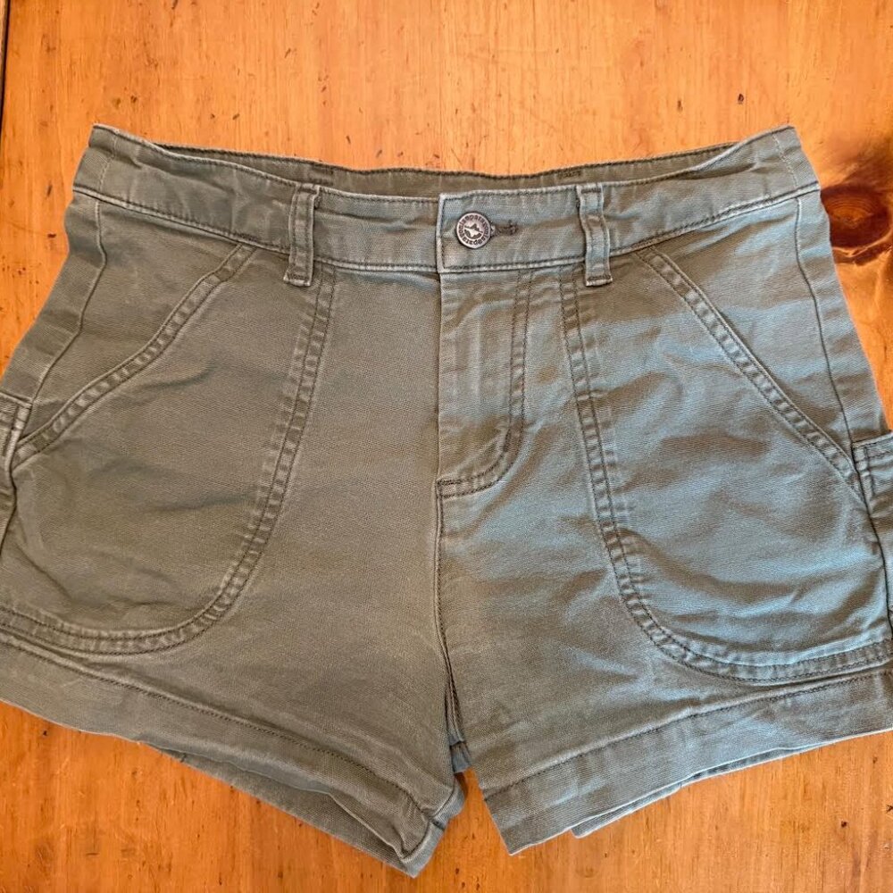 Patagonia Women's Green Shorts